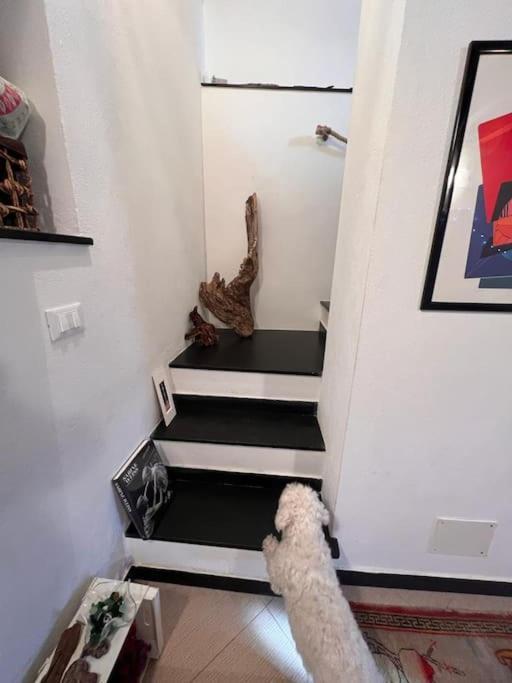 Casa Orri Quinto Mare E Gaslini Apartment Genoa Bagian luar foto